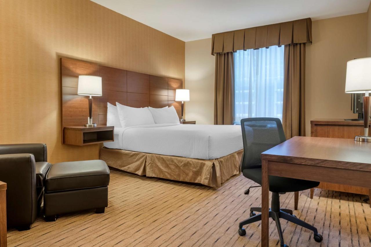 Best Western Plus, Bathurst Hotel & Suites Exteriér fotografie